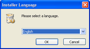 language.jpg